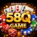 58Q Game