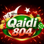 Qaidi804